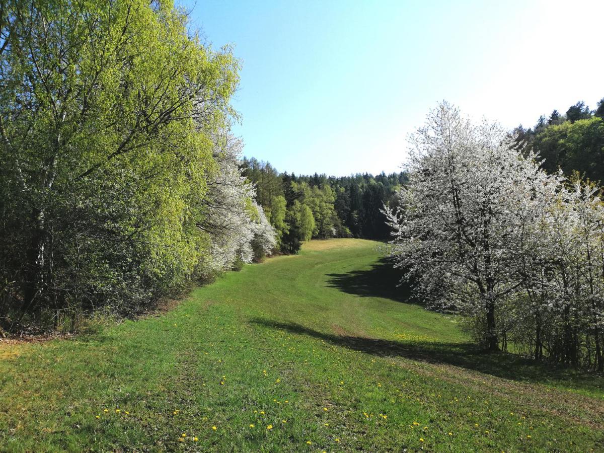 Ferienwohnung Wilhelm Springstille Kültér fotó