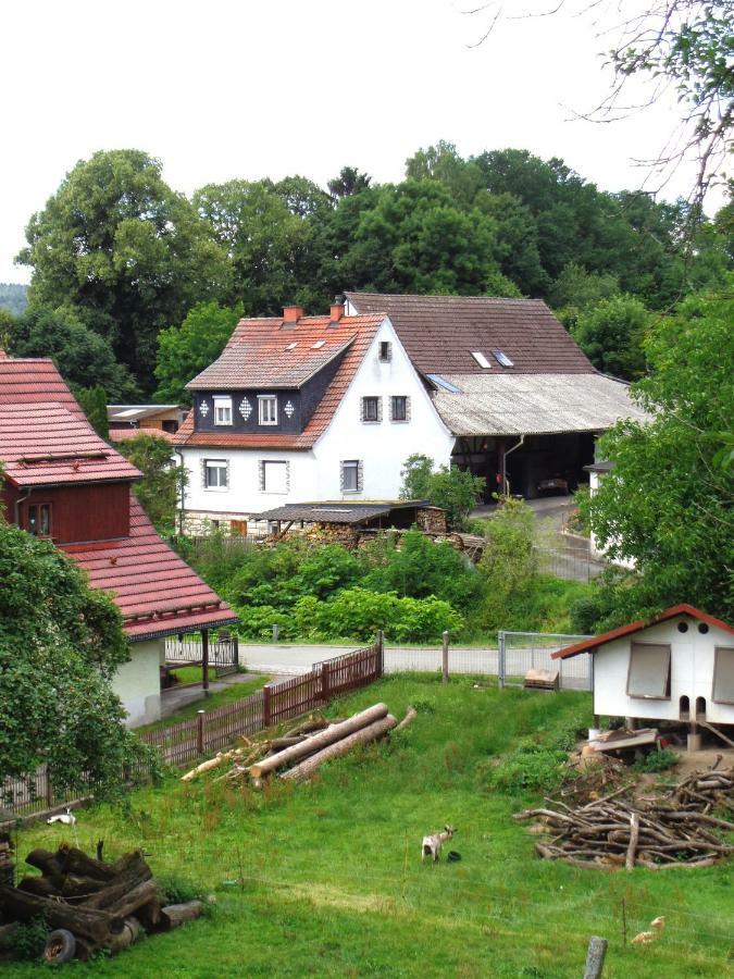 Ferienwohnung Wilhelm Springstille Kültér fotó